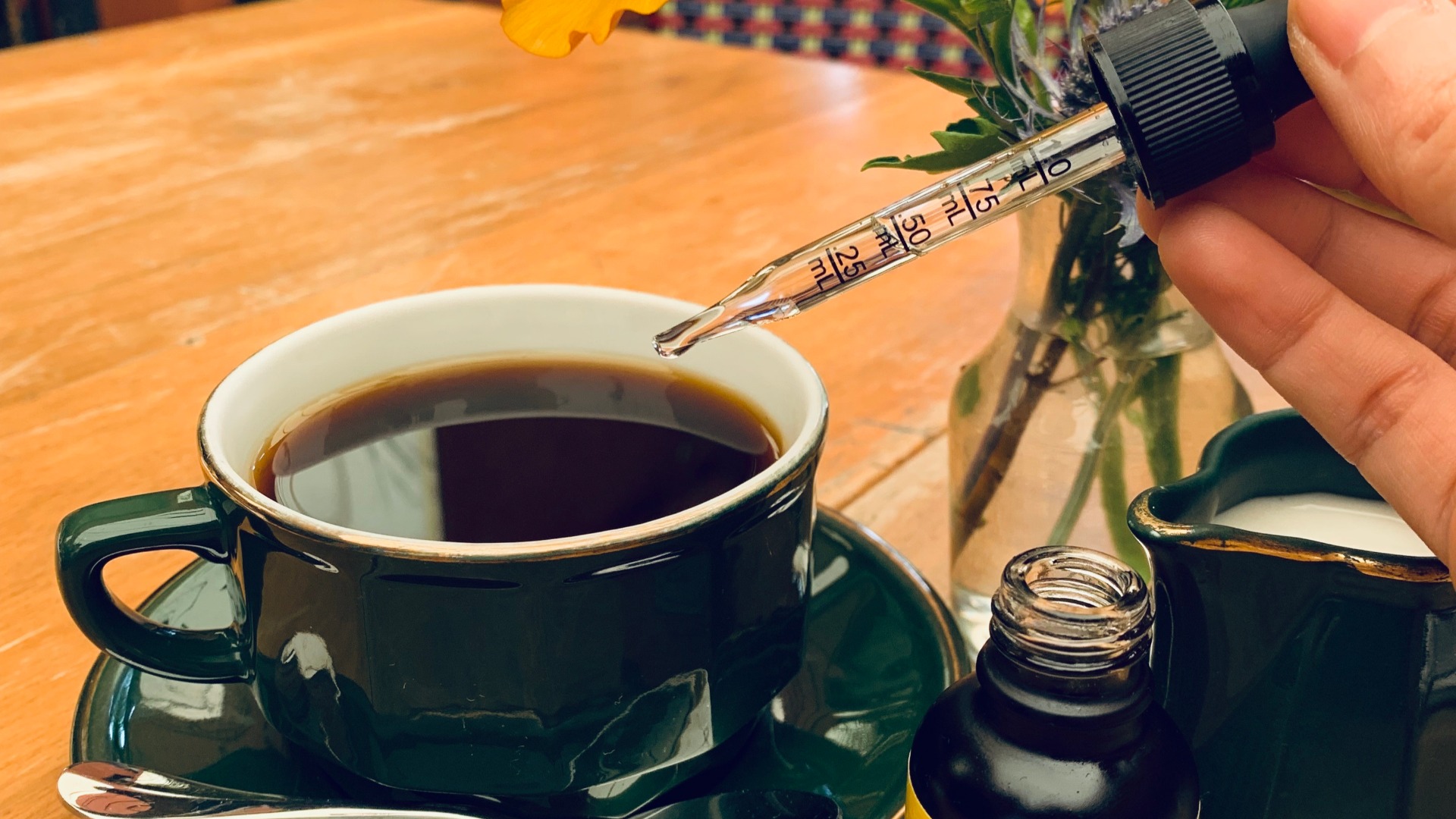 CBD IN 12-STEP RECOVERY: FACT & FICTION
